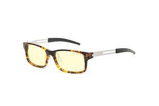 Окуляри для роботы за комп'ютером Gunnar, Havok, Tortoise, Amber, Black (HAV-02301)