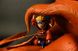 Аніме фігурка Naruto, Наруто Uzumaki Naruto Kurama, Узумакі Наруто та Дев'ятихвостий, 20 см (NAR 0059)