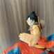 Аніме фігурка One Piece Ван Піс Luffy Мугівара Луффі, 20 см (OP 0062)