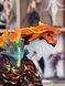 Фигурка из игры DOTA 2 Juggernaut Джаггернаут, статуэтка фанатская версия без коробки, 20 см (DOTA 0035)
