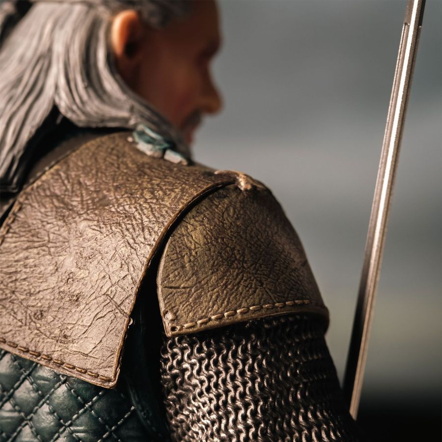 Фигурка от студии Dark Horse The Witcher 3: Wild Hunt - Vesemir, Весемир, 25 см (TW 0009)
